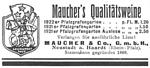 Maucher 1926 213.jpg